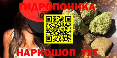 стаф Краснознаменск