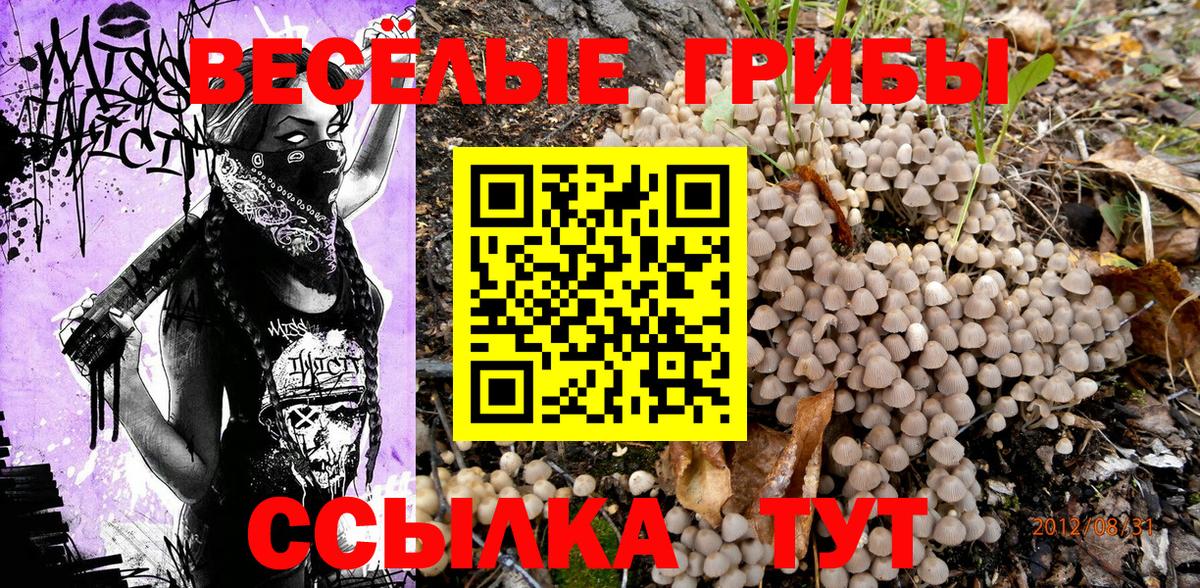 Химки  продажа наркотиков  Вход с VPN  Галлюциногенные грибы MAGIC MUSHROOMS 